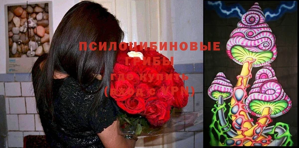 прущая мука Михайлов
