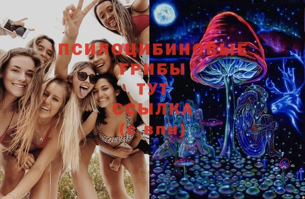 mix Богородицк