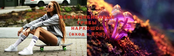прущая мука Михайлов