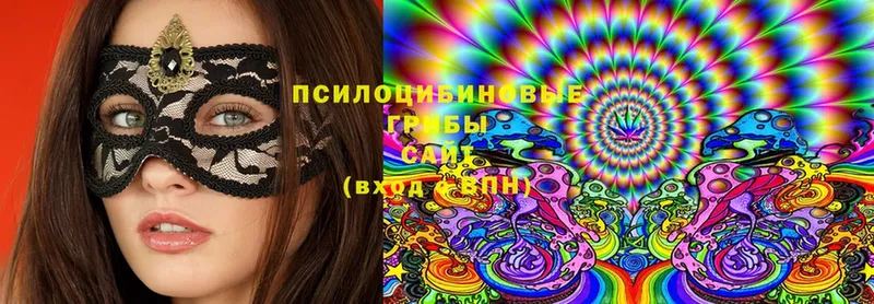 Галлюциногенные грибы Cubensis  ОМГ ОМГ как войти  Тобольск 