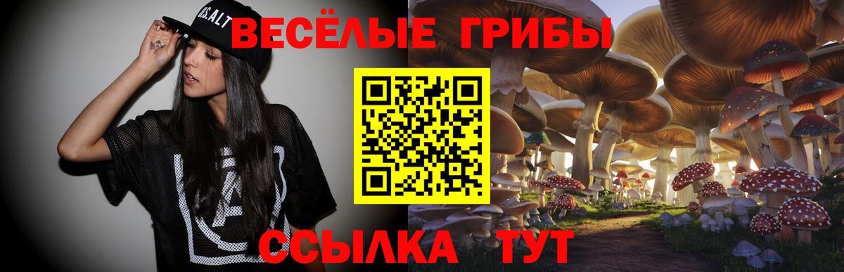 Тобольск  Галлюциногенные грибы Magic Shrooms  как найти закладки  Вход с VPN 